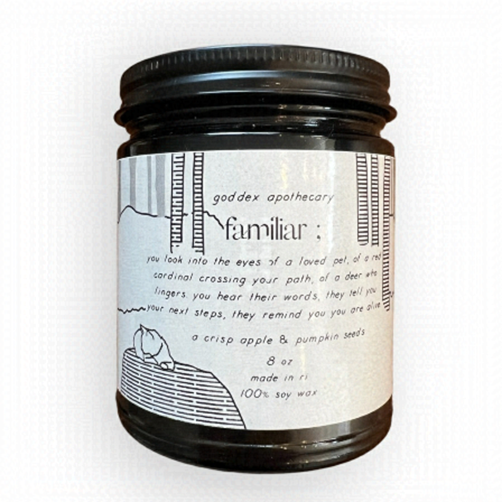 (2 for 20$)New-Familiar crisp apple and pumpkin seed soy candle